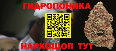 ГАЛЛЮЦИНОГЕННЫЕ ГРИБЫ Нальчик